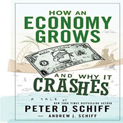 Comment une économie se développe et pourquoi elle s'effondre par Andrew J. Livre relié Schiff 9780470526705