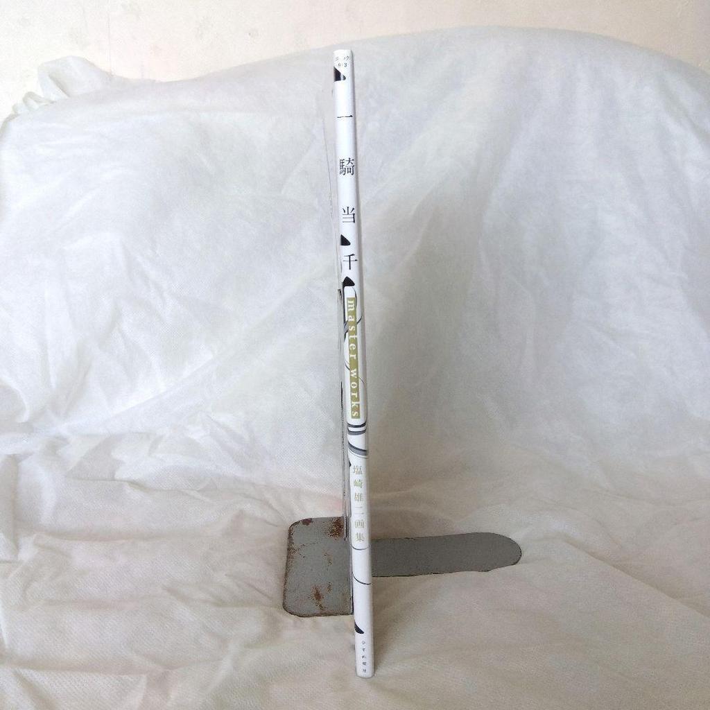 [USED] Anonymous Shipping Ikki Tousen Master Works Yuji Shiozaki Art Book Setting Material Collection First Edition