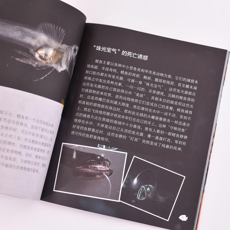 Curious Oceanarium: Cunning Ocean Hunter Book