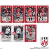 Bandai JAPAN NATIONAL VOLLEYBALL TEAM Twin Wafers 2025 (20 Pieces, Box)