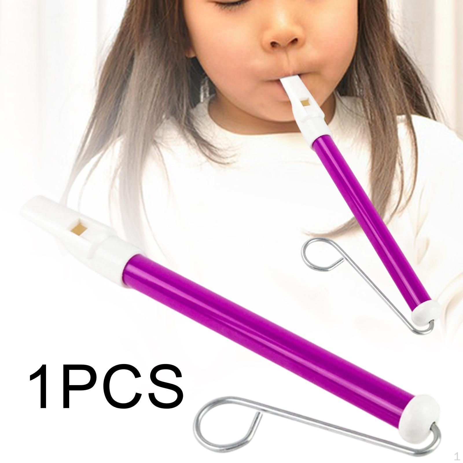 

Slide Whistle for Adults & Kids Birthday Gift Beginners Party Supplies Parent Child Game фиолетовый