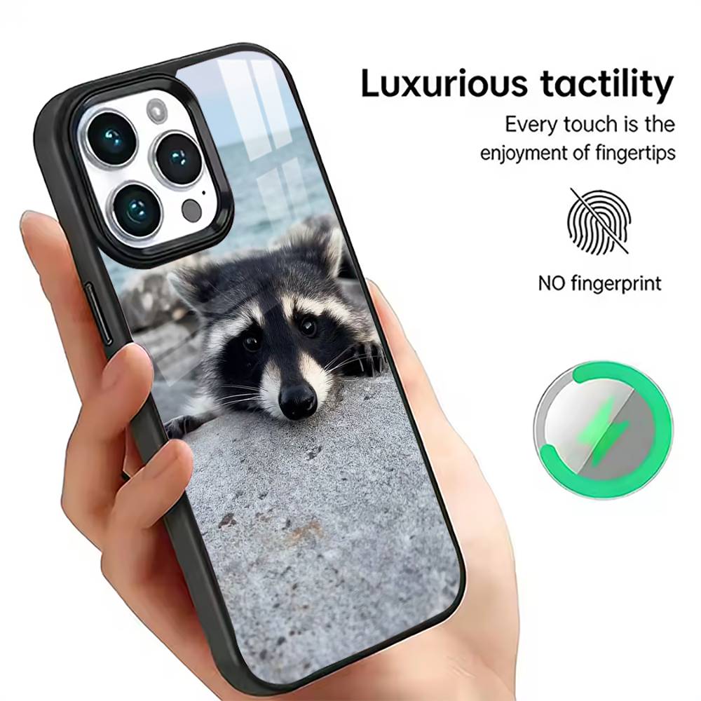 Little Raccoon Phone Case For iPhone17,16,15,14,13,12,11 Plus,Pro Magnetic with Magsafe Wireless Charging