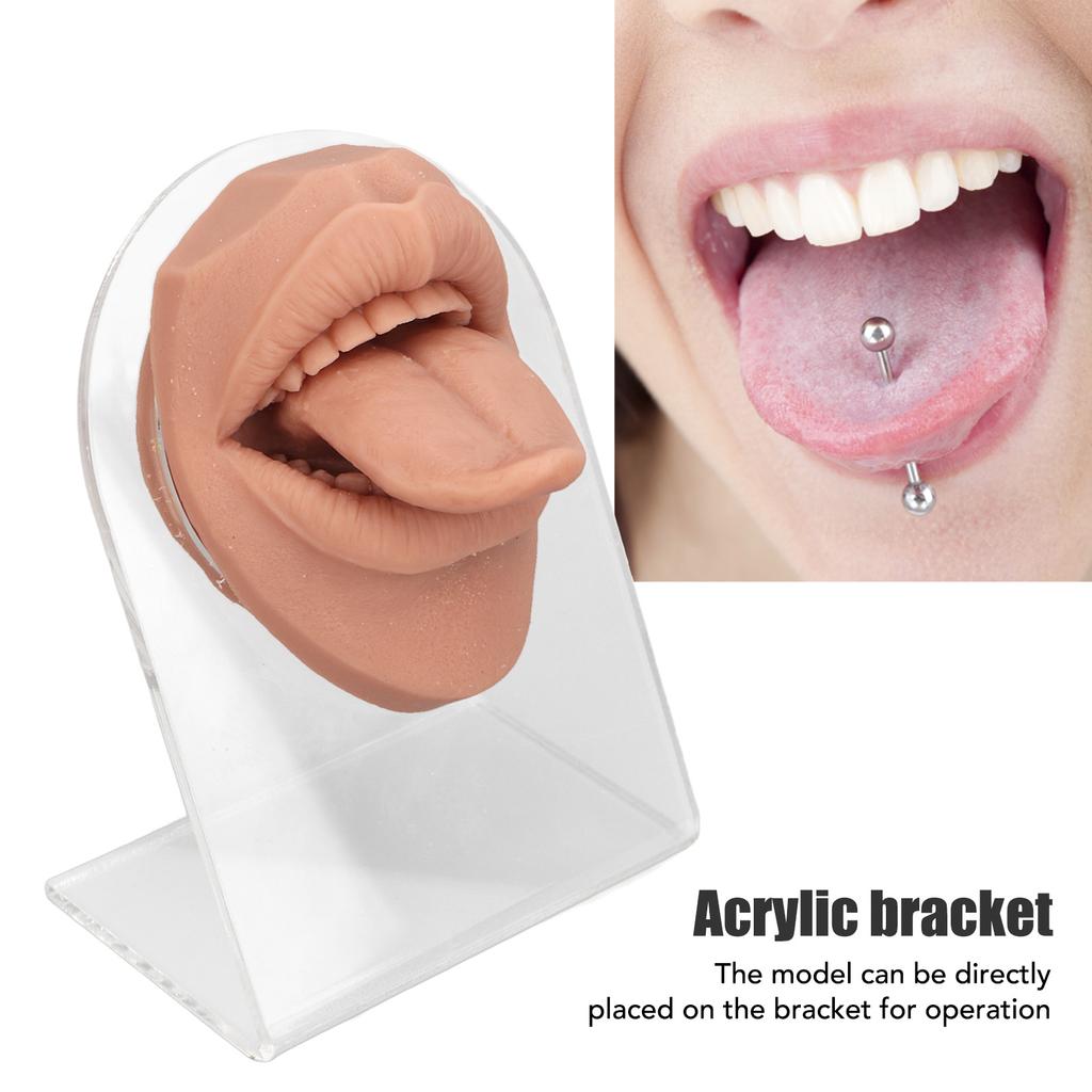 Modelo de lengua humana, silicona suave, soporte acrílico realista, modelo de boca para exhibición de joyería