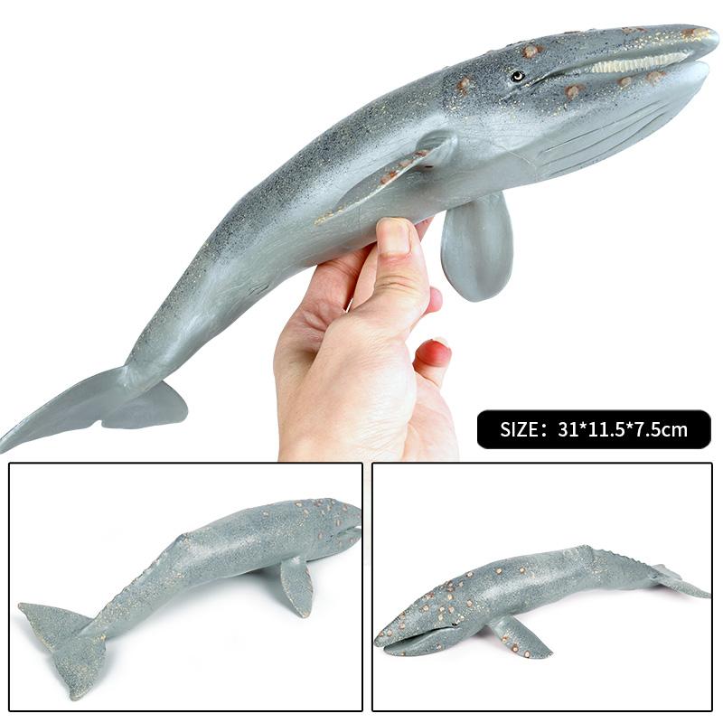 Oenux Ocean Animal Savage Megalodon Beluga Big Shark Orca Sperm Blue Whale Action Figures Sea Life Model Educational Kids Toy