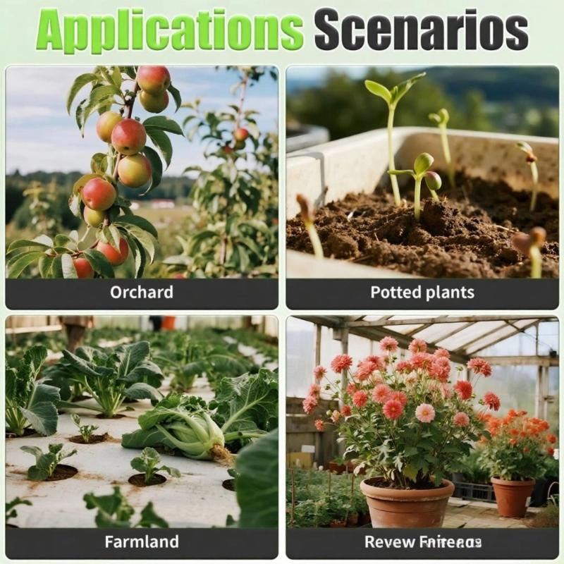 Easy To Use Soil Analysis for Acidbase Value Temperature and Humidity Measurement Featuring Digital Screen In Garden Home