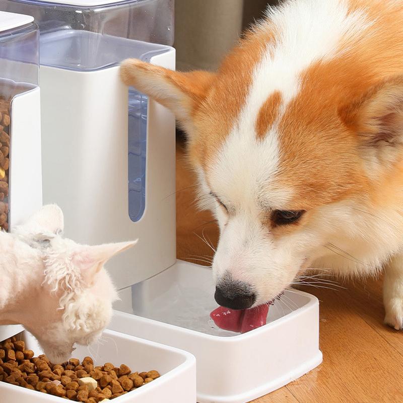 Large Capacity Pet Feeder Automatic Cat Dog Water Dispenser Puppy Kitten Drinking Water Container Dog Feeding Bowl Pet Supplies