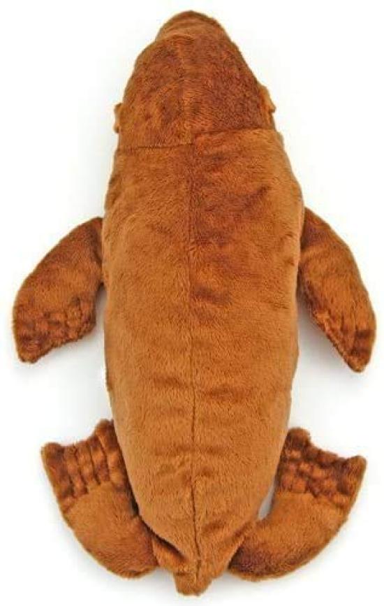 Carolata Sea Lion Plush Toy Realistic Animal Toy Doll Gift Present Birthday Christmas Present (Nestling Series/Soft Touch) (Twice Tested) /