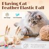 Soulchen 40 Pcs Interactive Cat Feather Ball Toy Set 2025 New Bouncy Rubber Elastic Rolling Balls Toy with Feather for Bored Indoor Cats Playful