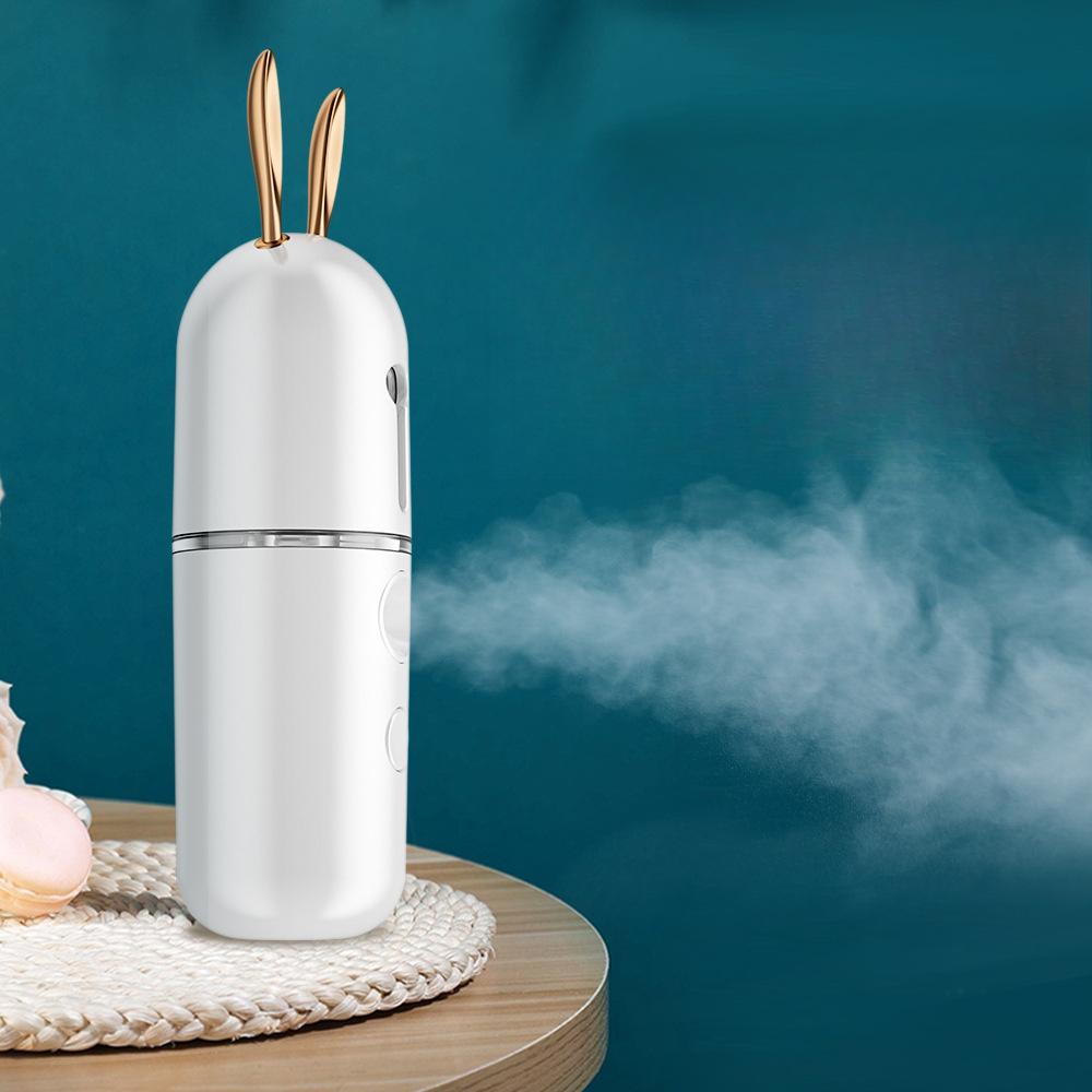 Large Volume Mist Moisturizing and Moisturizing Spray Instrument, Beauty Handheld Convenient Humidifier, Facialuse Cold Spray Moisturizing Instrument