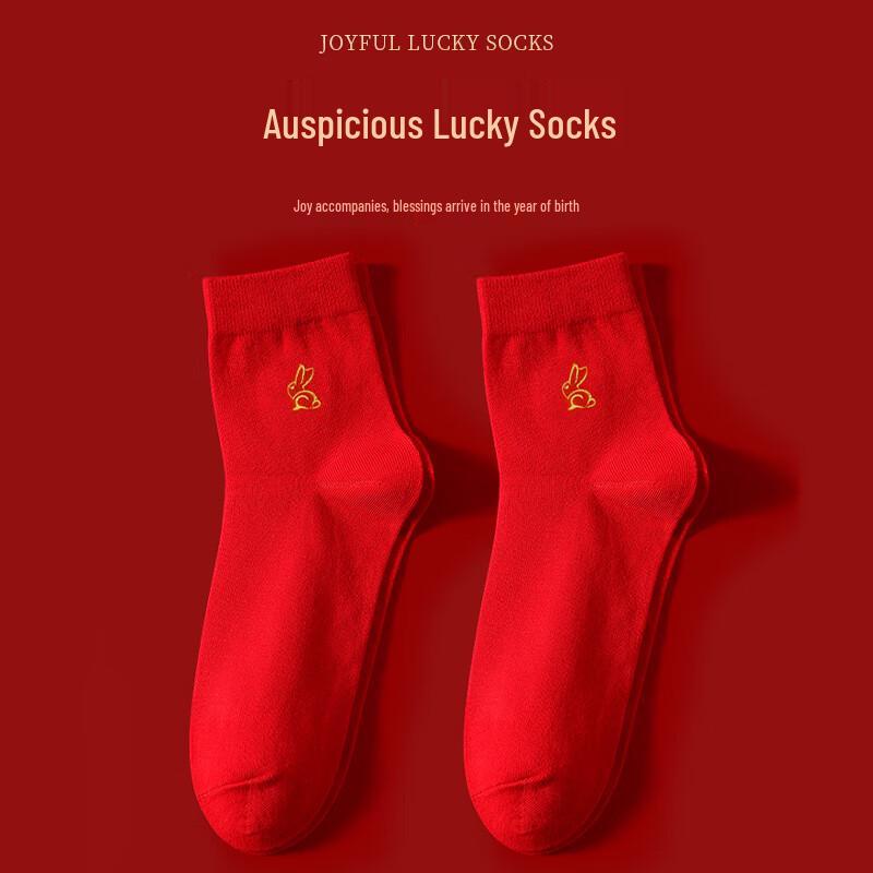 Women's Red Zodiac Lucky Cotton Briefs & Socks Gift Set
