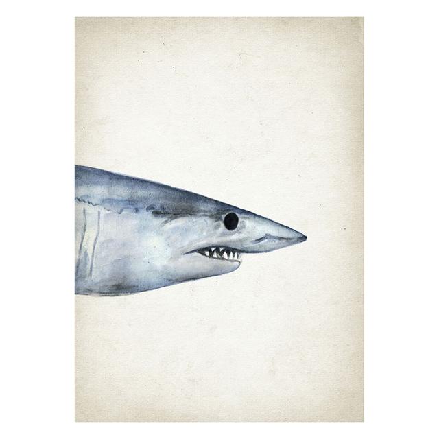 Marine Animals Canvas Paintings Great White Shark Posters and Prints Killer Whale Wall Art Picture for Home Decoration No Frame