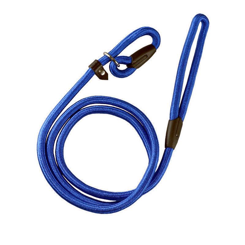 Explosion-Proof Pet Leash: Pull-Resistant Dog & Cat P Chain