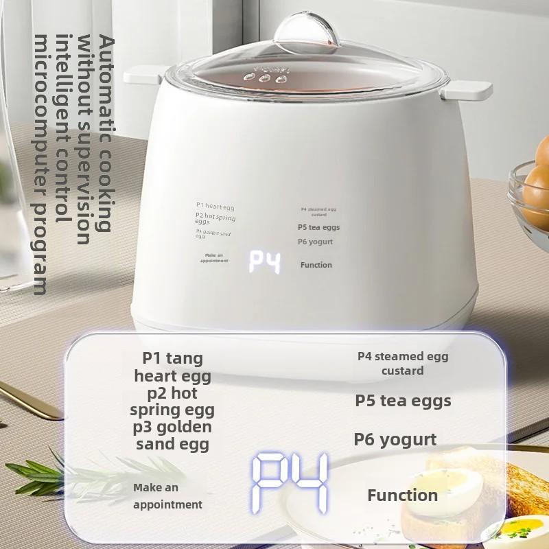 Mini Multifunctional Home Use Automatic Shutdown Egg Boiler 110V Pre-Timed Breakfast Egg Cooker Small Personalized Motorcycle Eq