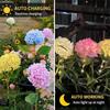 Realistic Solar Embroidered Flower Lamp Outdoor Hydrangea Light  Backyard Landscape