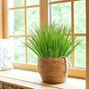16PC Artificial Onion Grass Bushes Yard Realistic Plastic Plants Home Office Decor Fake Tall Grasses Indoor 3 Sizes