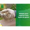Seeds BHS 1 kg
