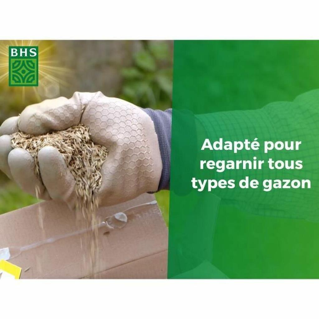 Seeds BHS 1 kg