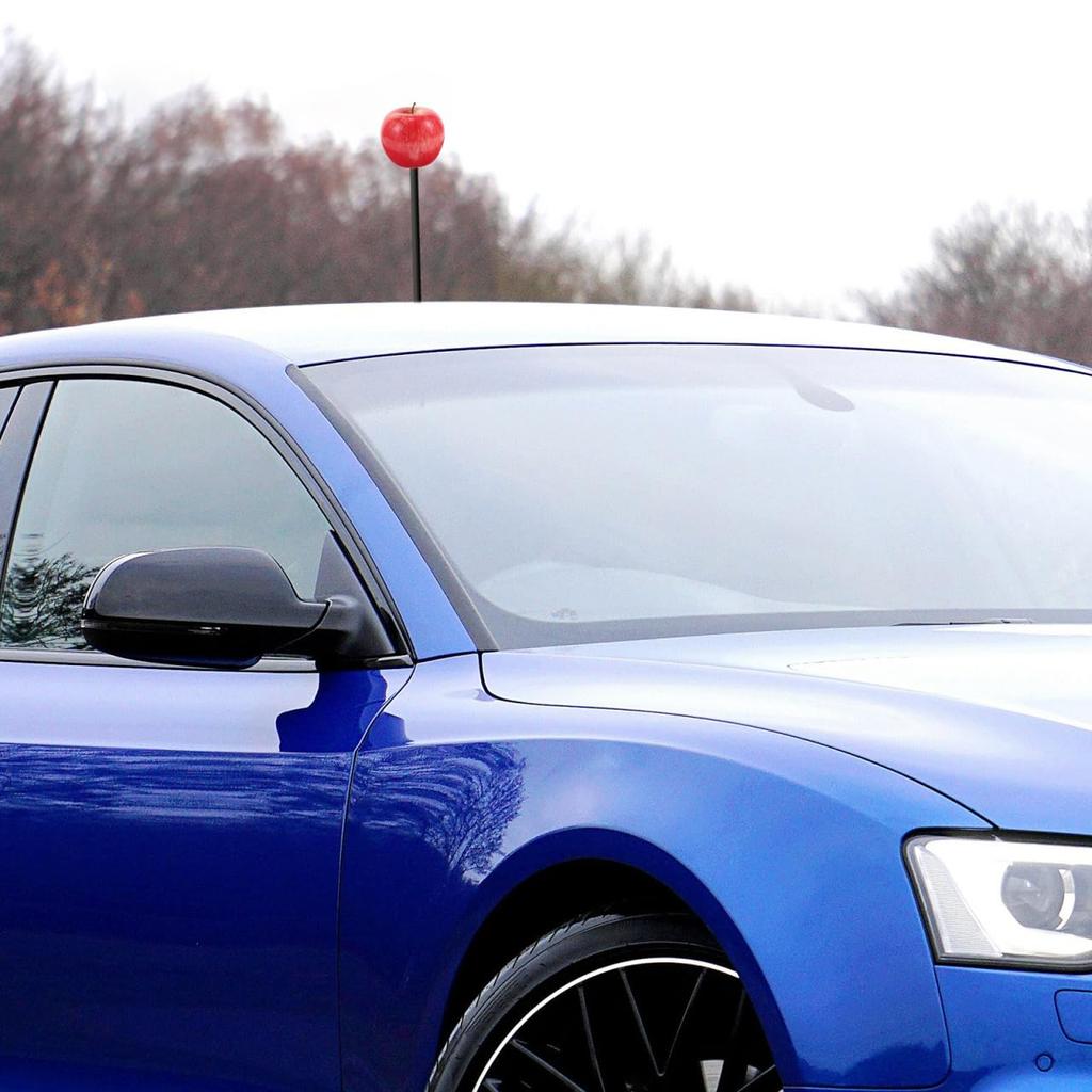 GLEAVI Apple Shape Car Antenna Topper Cute Decoration Fruit Ball Car Roof Universal Car Antenna Topper for Most Vehicles