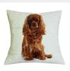 Cavalier King Charles Spaniel Bedrukte Serie Bank Creatieve Kussenhoes Eenvoudige Kussensloop Huisdecoratie Feest