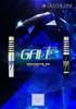 Dynasty Gale 2 21g Tungsten 90% (GALE2)