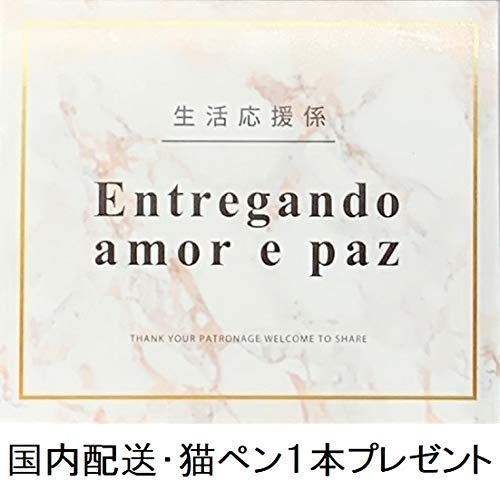 Attack on Titan Wings of Freedom 3-Piece Costume Set: Shirt, Basement Key, and Necklace (XL, Black)