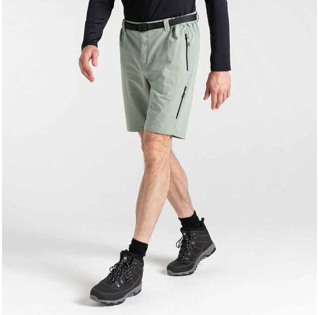 Dare2B Tuned In Shorts