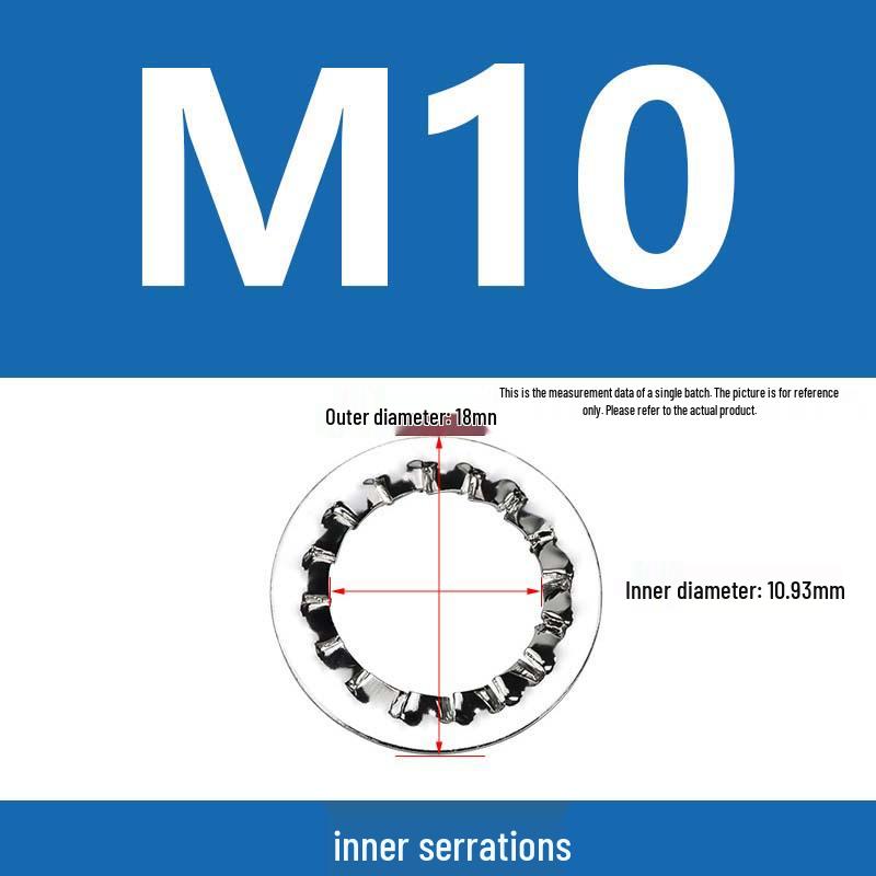 304 Stainless Steel Serrated Lock Washer with Anti-slip Teeth.