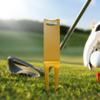 Golf Divot Tool 2 Pins Poliert Einfach zu installieren Tragbar Golftraining Golf