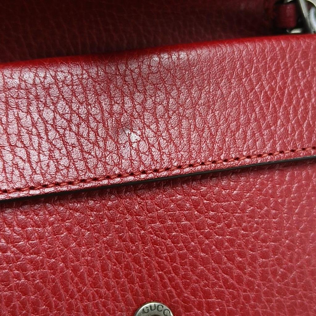 [Pre-Owned] Dionysus Tiger Head Buckle Chain Leather Crossbody Shoulder Bag - Very Good #1E2KG12