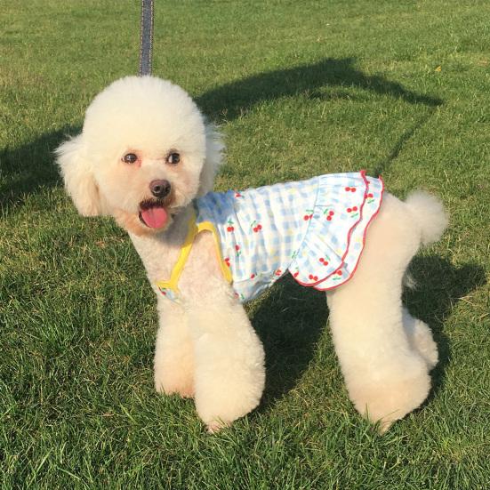 Pet Dress Cherry Pattern Plaid Printing Fruit Surface Summer Dog Two-legged Clothes for Pet Skin