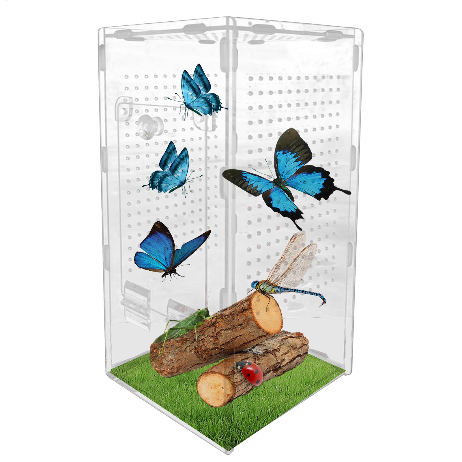 Breathable Spider Hatcher Feeding Box Frogs Lizard Snakes Reptile Incubator Breeding Box Insect Supplies Hatching Terrariums bianco