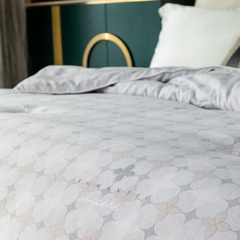 Shanshan Graphene Technology All-Season Mother-Child Duvet
