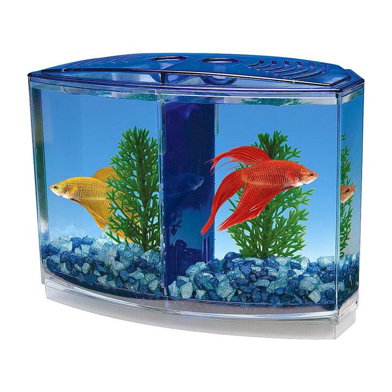 Cutie mare de pești de luptă cu compartiment dublu Eco Rumble Fish Aquarium Mini Aquarium Plastic Isolation Box Box reproduction