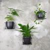 Modern Flora Wall Flower Stand, Black Metal Loft Wall Basket for Flowerpot, Handmade
