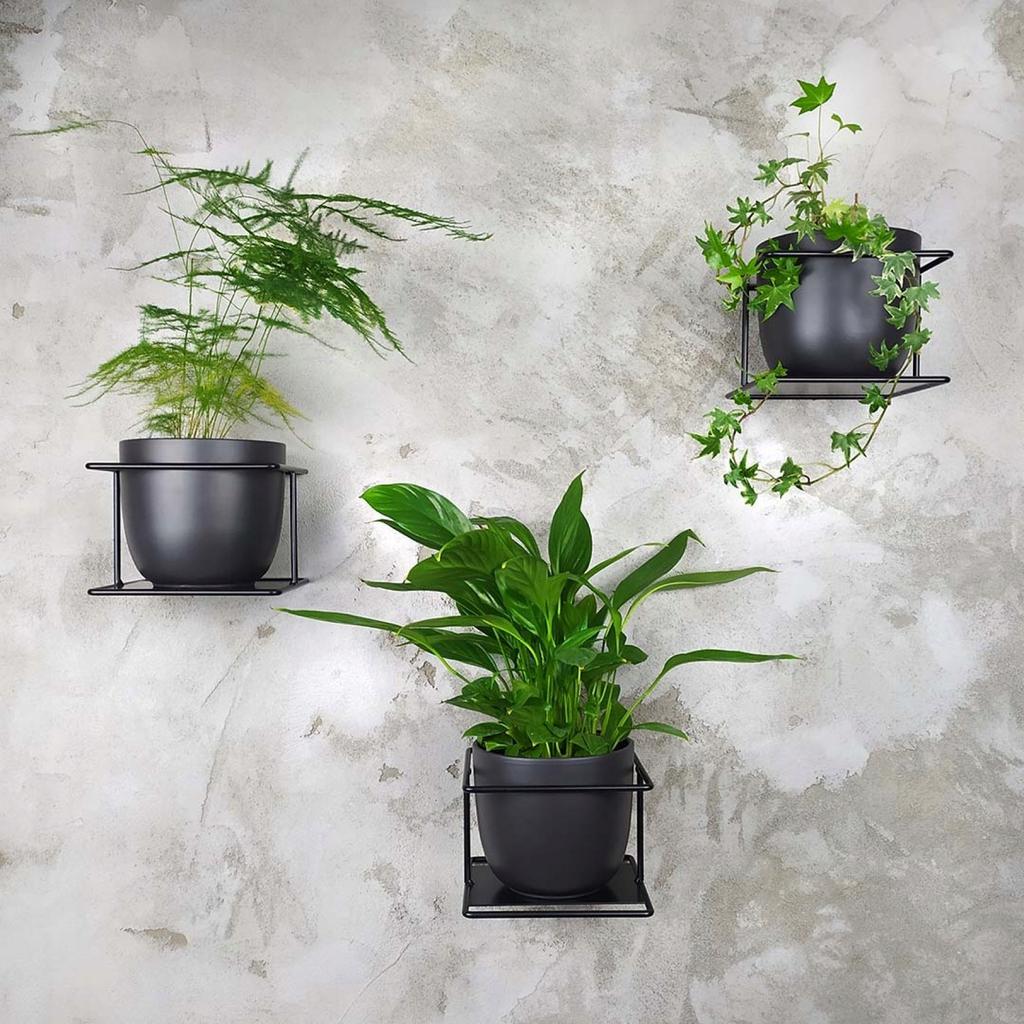 Modern Flora Wall Flower Stand, Black Metal Loft Wall Basket for Flowerpot, Handmade