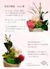 Sweet November 5D Waka Senka Hana Kanade Japanese Classic Style Preserved Flower Gift
