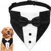 Adjustable Dog Tuxedo Suit With Bowtie Pocket Square Wedding Party Costume