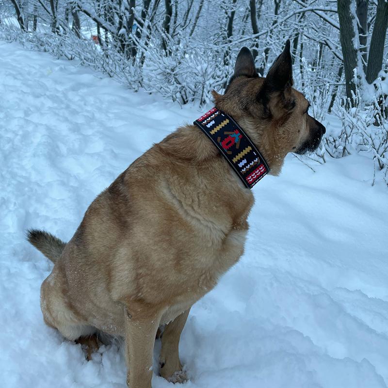 Fashion Big Dog Collar Reflective Adjustable Pet Collars for Small Medium Large Dogs German Shepherd Whippet Pets Accessories