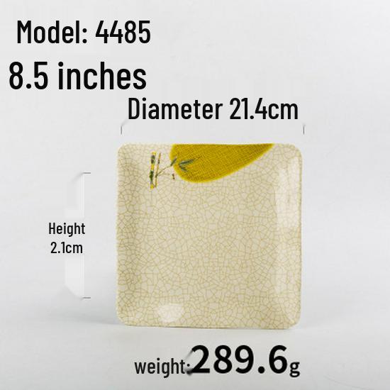 A5 Melamine Restaurant Tableware: Creative Plastic Fast Food & Cold Dish Plate for Hot Pot and Household Use