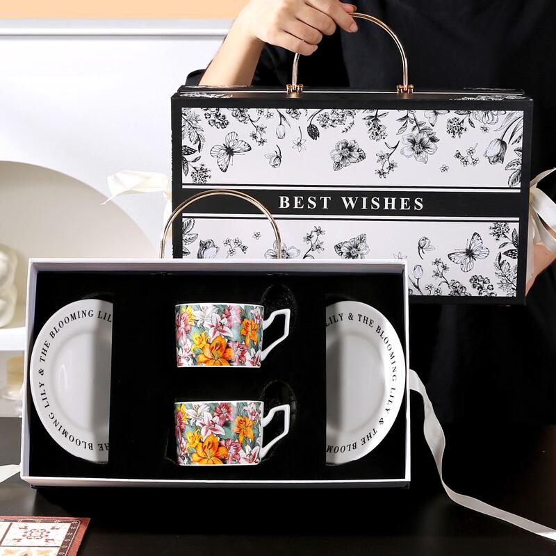 Elegant Ceramic Cup and Saucer Gift Set (2 Cups, 2 Saucers)
