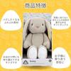 Early Learning Center Fluffy Animal Gray Bunny (Gift Box) Doll Baby Toy Toddler Gift Baby Shower Gift 200793 Authentic