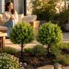 2 Pieces Ball-Shaped Topiary with Ground Spike No-Watering for Office Decoration