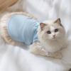 Ropa y calzado – Chalecos y camisas para perros