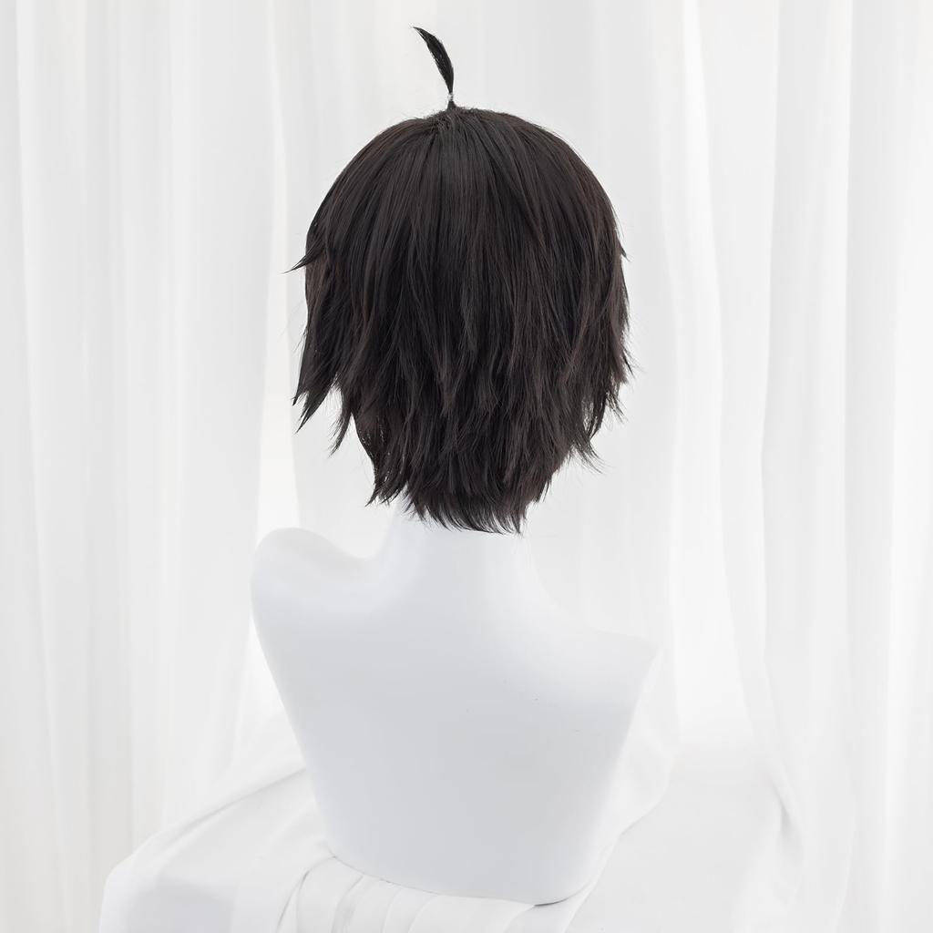 High-quality Dan Heng Cosplay Wig, Dan Heng Anime Style, Heat-resistant, Perfect for Parties, Events, and Costumes. Includes Wig Net. New