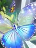 DIY Diamond Embroidery Butterfly Beaded Mosaic Animal Cross Stitch Kits Diamond Painting Stone New Arrival Handmade Gift