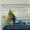 Yousheng Cute Bird Blanket with Hanging Rope Nest Bed Soft Comfortable Non-deformation Cuddle Nest Hanging Toy for Parrots Budgies