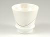 Arita Ware Takumi no Kura Kinemon Kiln Prost Pair Supreme Shochu Glass 24401