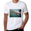 Great White Shark SA TShirt Work Duty Casual TShirt