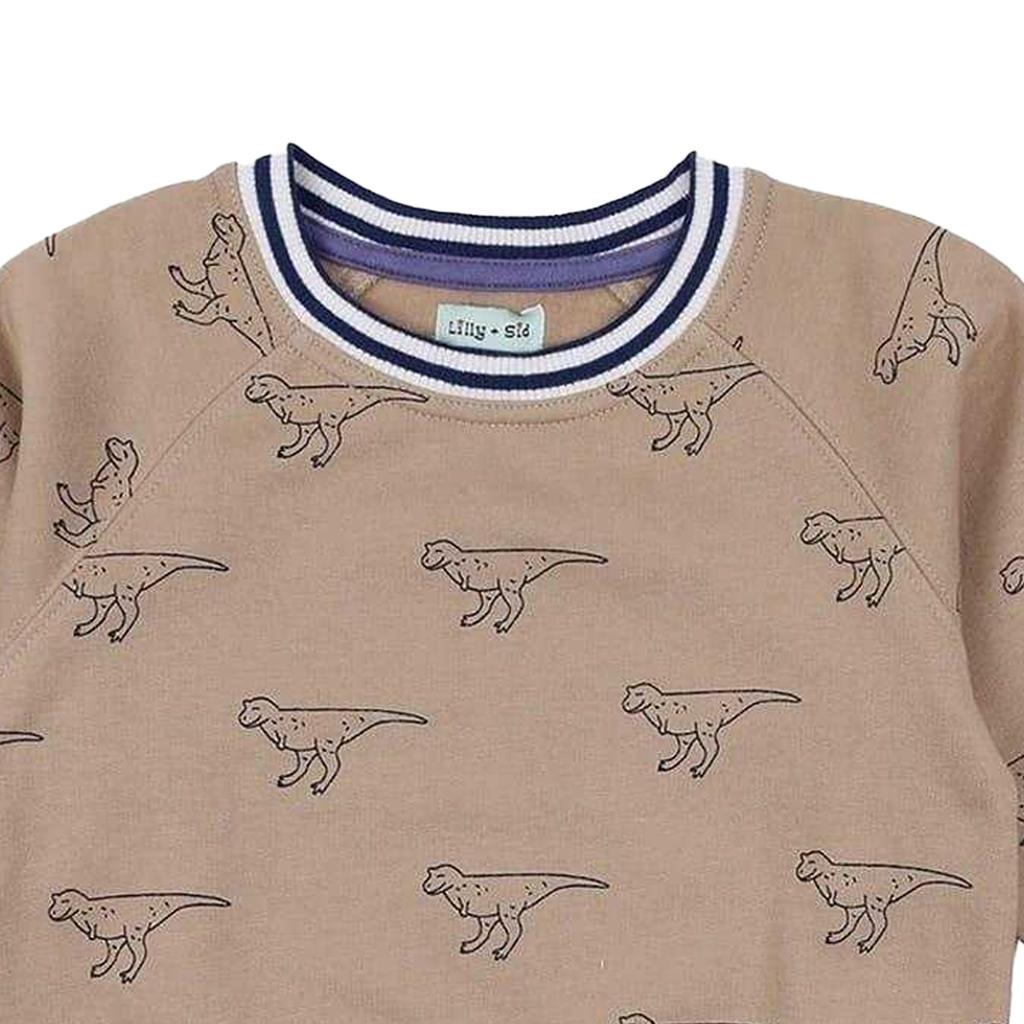 Lilly & Sid Childrens/Kids Dinosaur Sweatshirt