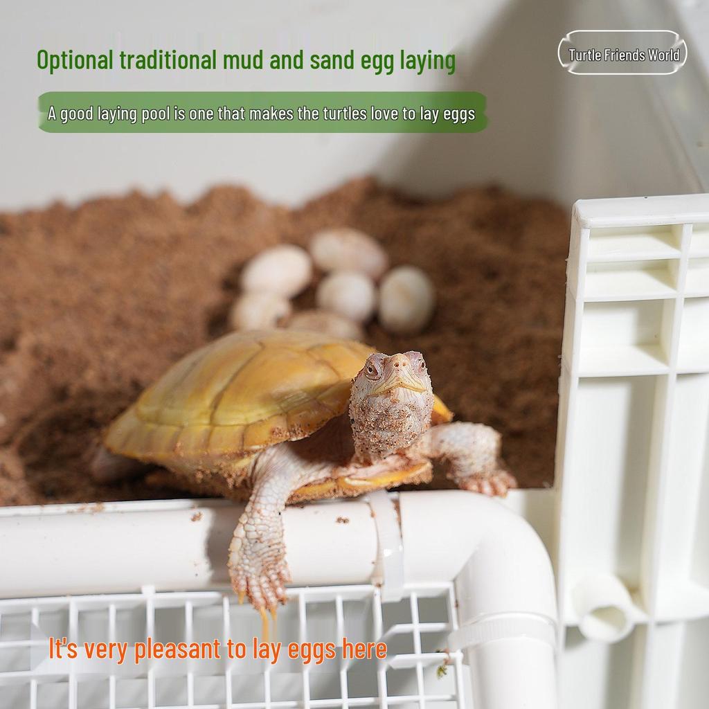 Turtle Egg-Laying Pond & Incubation Box with Basking Platform and Sand Pool
